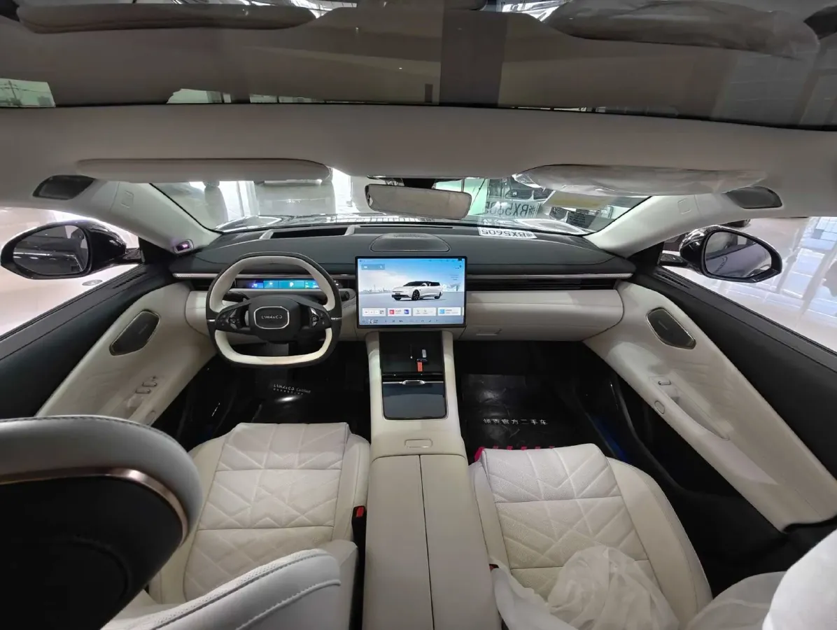 2025 LYNK&CO 10 EM-P 1.5T 163HP L4 3DHT PHEV,autocango,china used car exporter,china ev exporter,chinese used car exporter,chinese used ev exporter