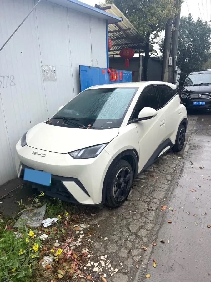 2023 BYD Seagull BEV 30.08KWH,autocango,china used car exporter,china ev exporter,chinese used car exporter,chinese used ev exporter