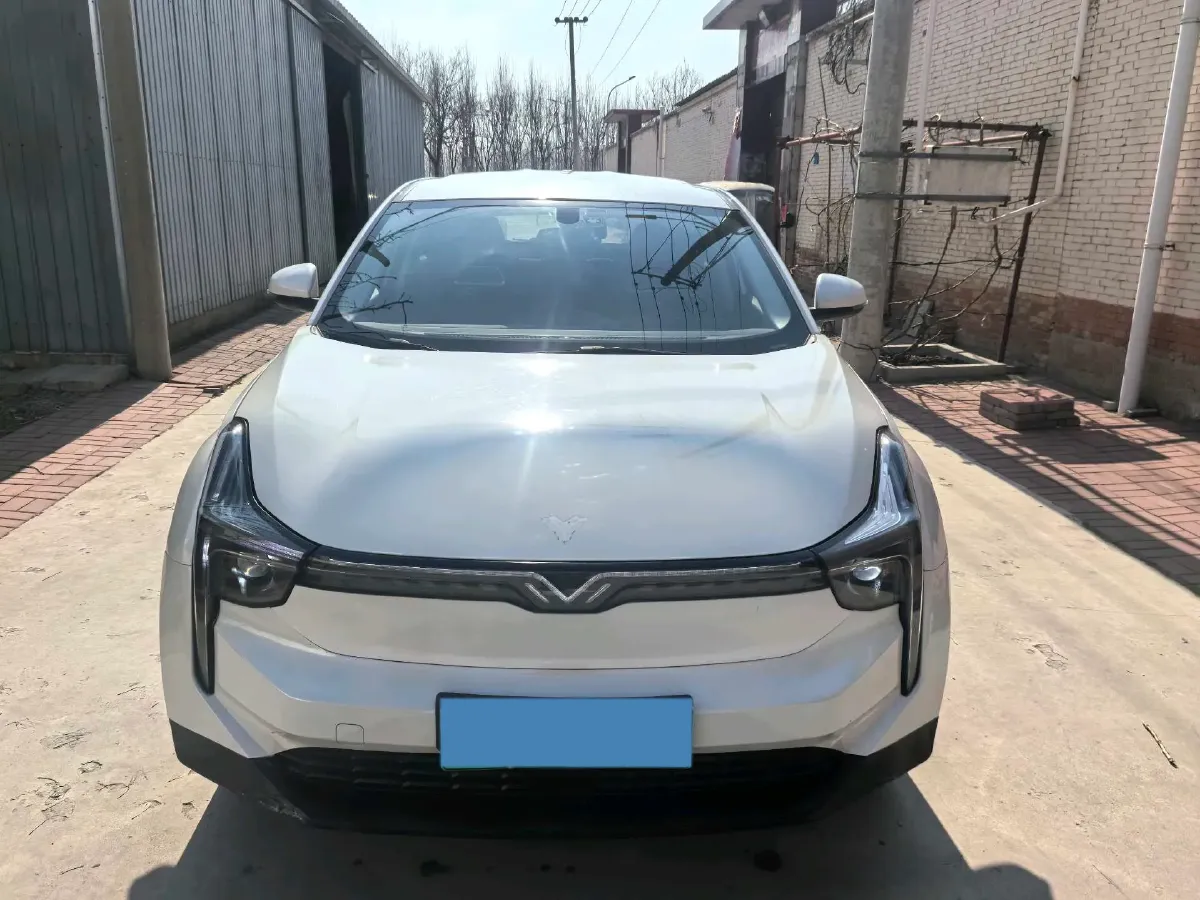 2020 Neta U BEV 54KWH,autocango,china used car exporter,china ev exporter,chinese used car exporter,chinese used ev exporter
