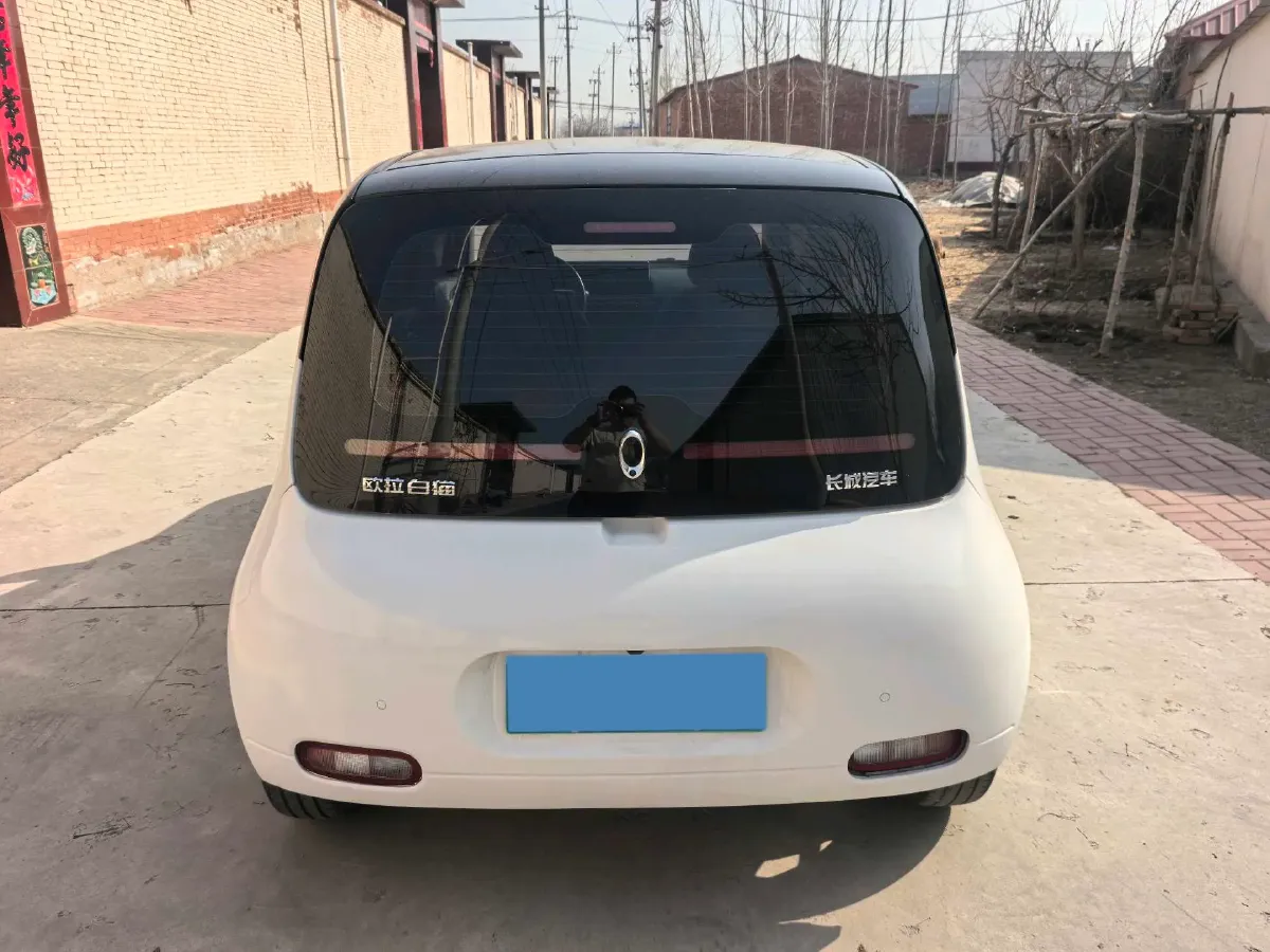 2020 Ora WhiteCat BEV 29.4KWH,autocango,china used car exporter,china ev exporter,chinese used car exporter,chinese used ev exporter