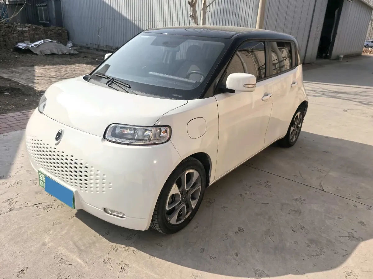 2020 Ora WhiteCat BEV 29.4KWH,autocango,china used car exporter,china ev exporter,chinese used car exporter,chinese used ev exporter