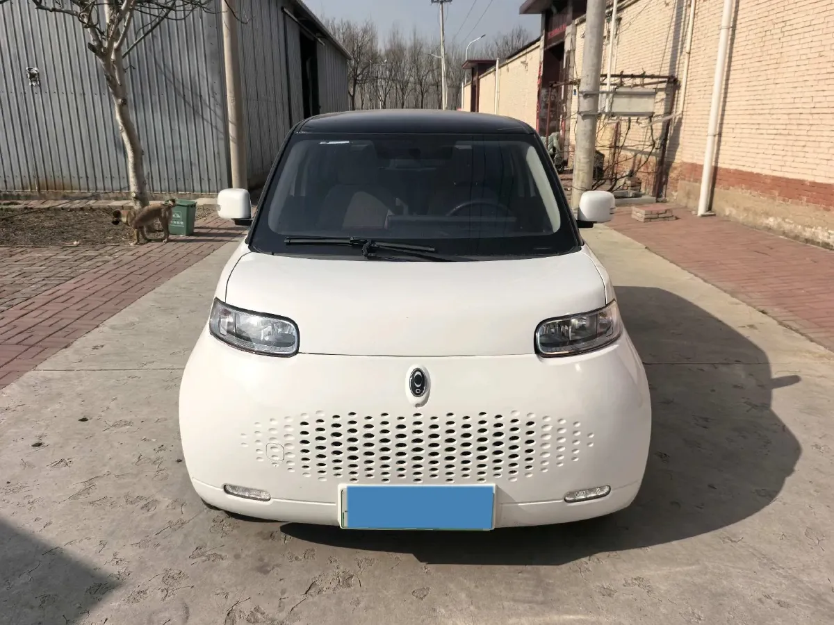 2020 Ora WhiteCat BEV 29.4KWH,autocango,china used car exporter,china ev exporter,chinese used car exporter,chinese used ev exporter