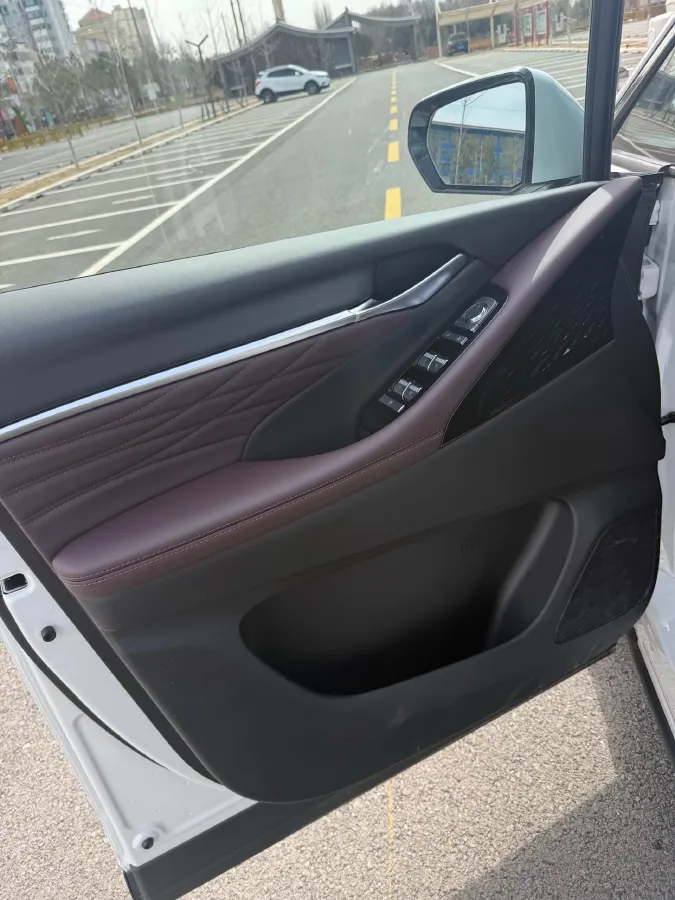 2024 GAC Trumpchi M8 2.0T 252HP L4 8AT,autocango,china used car exporter,china ev exporter,chinese used car exporter,chinese used ev exporter