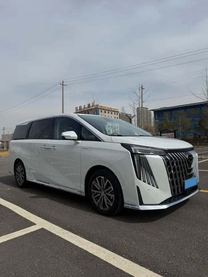 2024 GAC Trumpchi M8 2.0T 252HP L4 8AT,autocango,china used car exporter,china ev exporter,chinese used car exporter,chinese used ev exporter