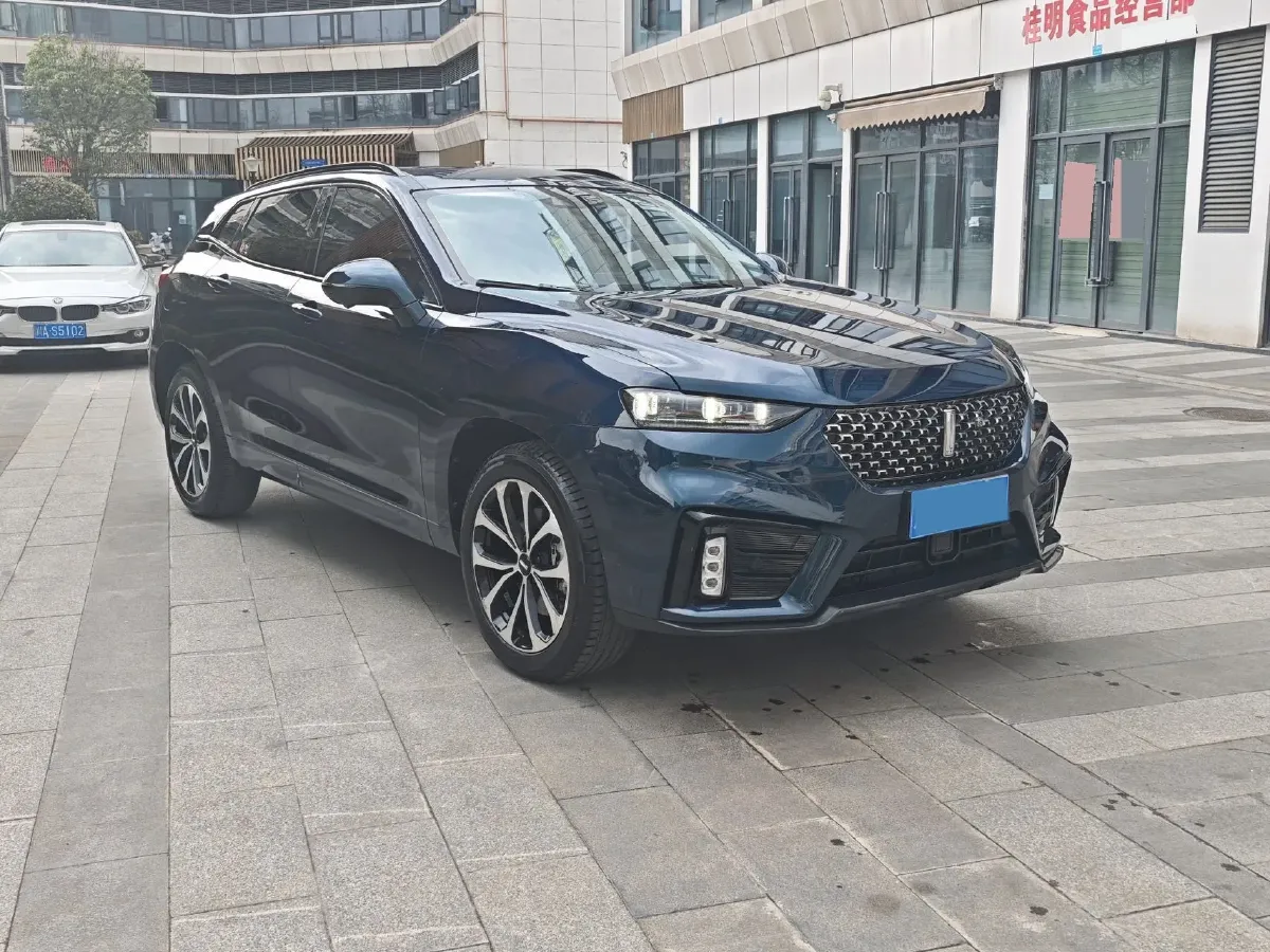 2020 WEY VV7 2.0T 227HP L4 7DCT,autocango,china used car exporter,china ev exporter,chinese used car exporter,chinese used ev exporter