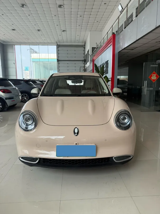 2021 Ora FunkyCat BEV 45.99KWH,autocango,china used car exporter,china ev exporter,chinese used car exporter,chinese used ev exporter