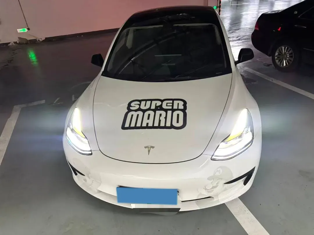 2021 Tesla Model 3 BEV 55KWH,autocango,china used car exporter,china ev exporter,chinese used car exporter,chinese used ev exporter