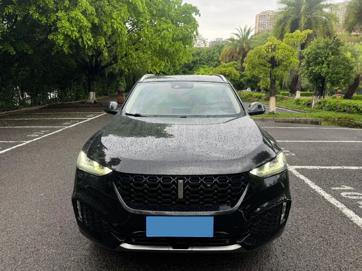 2018 WEY VV6 2.0T 197HP L4 7DCT,autocango,china used car exporter,china ev exporter,chinese used car exporter,chinese used ev exporter