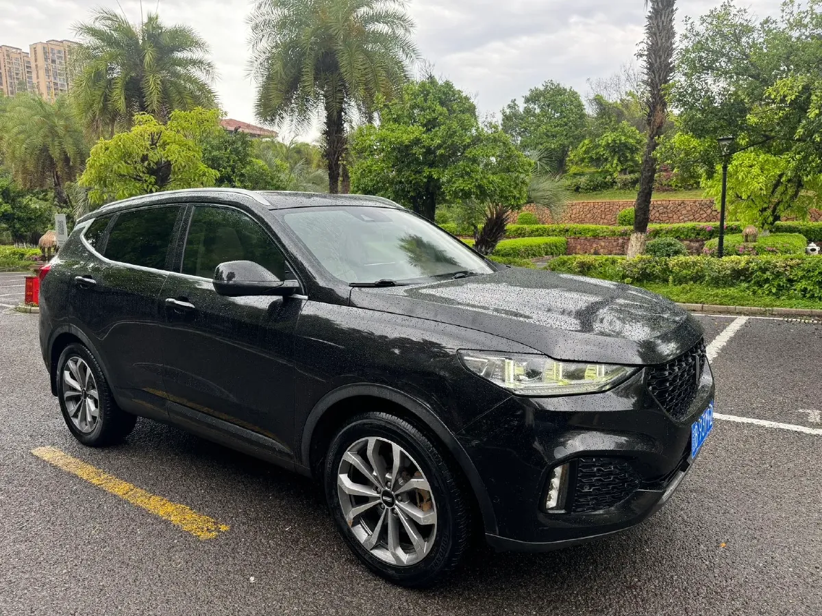 2018 WEY VV6 2.0T 197HP L4 7DCT,autocango,china used car exporter,china ev exporter,chinese used car exporter,chinese used ev exporter