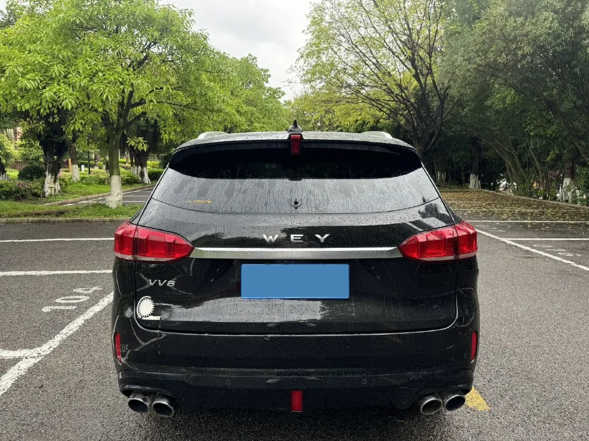 2018 WEY VV6 2.0T 197HP L4 7DCT,autocango,china used car exporter,china ev exporter,chinese used car exporter,chinese used ev exporter