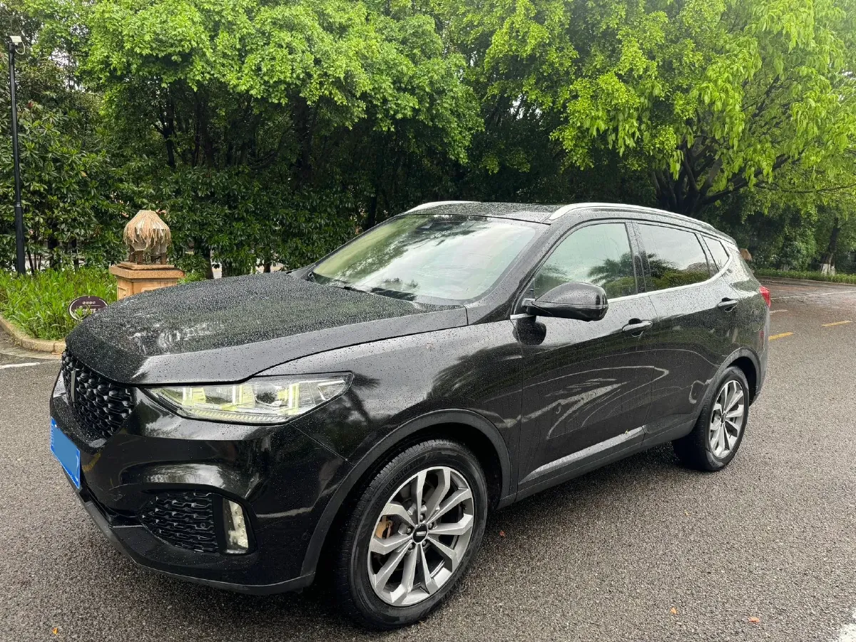 2018 WEY VV6 2.0T 197HP L4 7DCT,autocango,china used car exporter,china ev exporter,chinese used car exporter,chinese used ev exporter