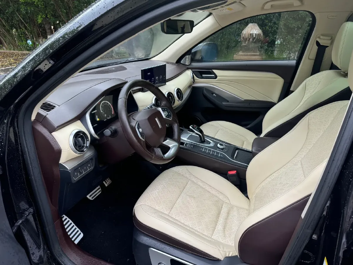 2018 WEY VV6 2.0T 197HP L4 7DCT,autocango,china used car exporter,china ev exporter,chinese used car exporter,chinese used ev exporter