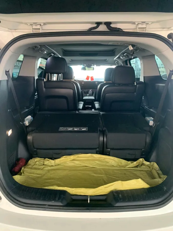 2021 GAC Trumpchi M8 2.0T 252HP L4 8AT,autocango,china used car exporter,china ev exporter,chinese used car exporter,chinese used ev exporter