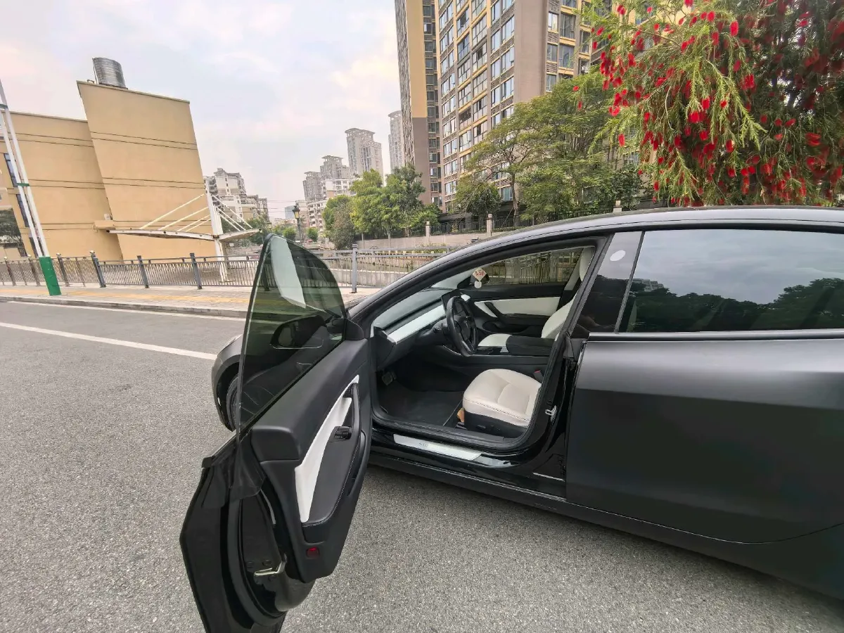 2019 Tesla Model 3 BEV 81KWH,autocango,china used car exporter,china ev exporter,chinese used car exporter,chinese used ev exporter