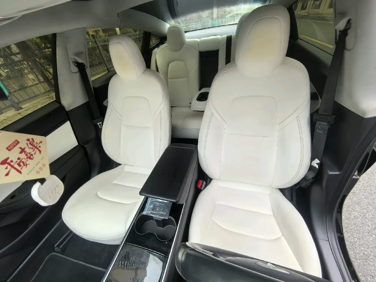 2019 Tesla Model 3 BEV 81KWH,autocango,china used car exporter,china ev exporter,chinese used car exporter,chinese used ev exporter
