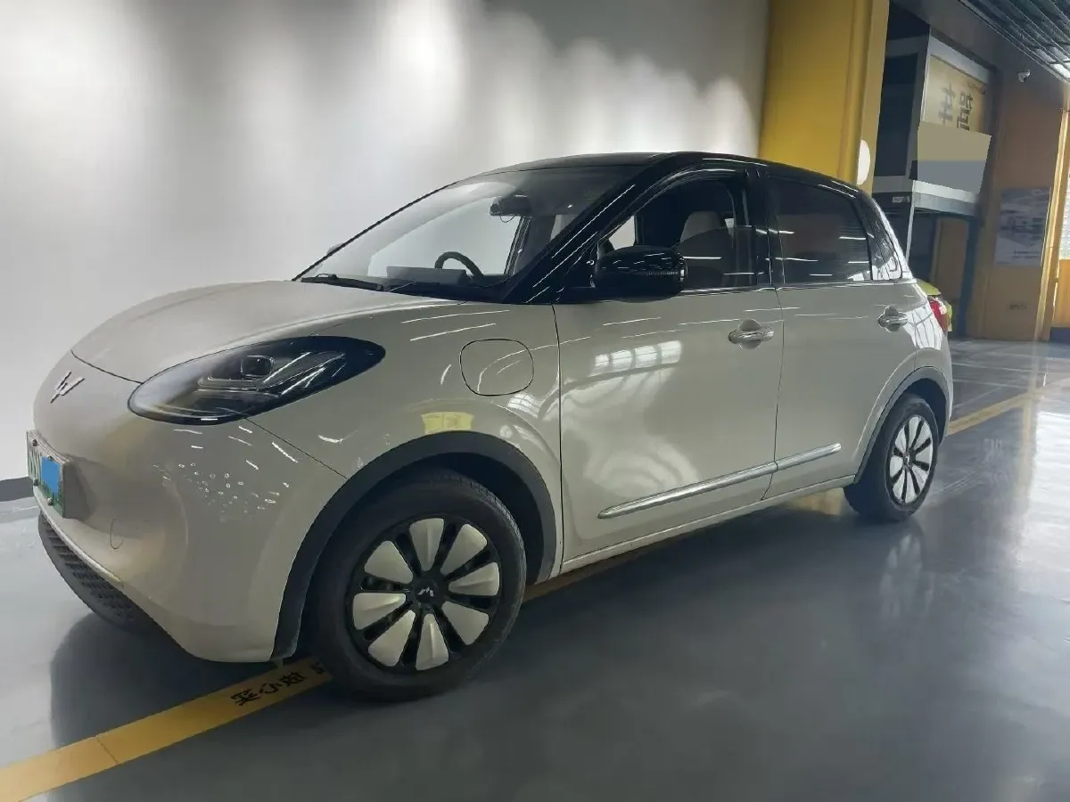 2023 WuLing BinGuo BEV 37.9KWH,autocango,china used car exporter,china ev exporter,chinese used car exporter,chinese used ev exporter