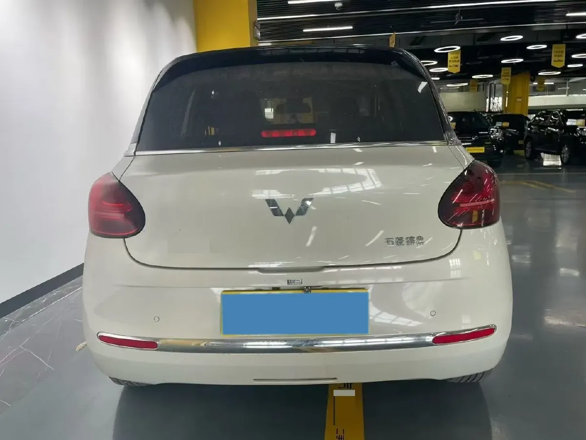 2023 WuLing BinGuo BEV 37.9KWH,autocango,china used car exporter,china ev exporter,chinese used car exporter,chinese used ev exporter