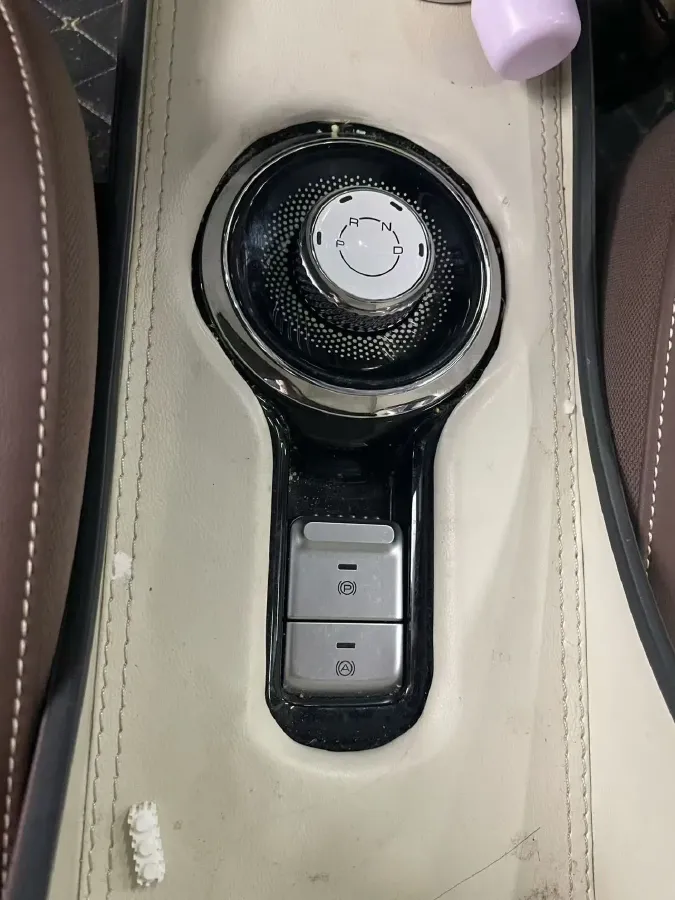 2023 WuLing BinGuo BEV 37.9KWH,autocango,china used car exporter,china ev exporter,chinese used car exporter,chinese used ev exporter