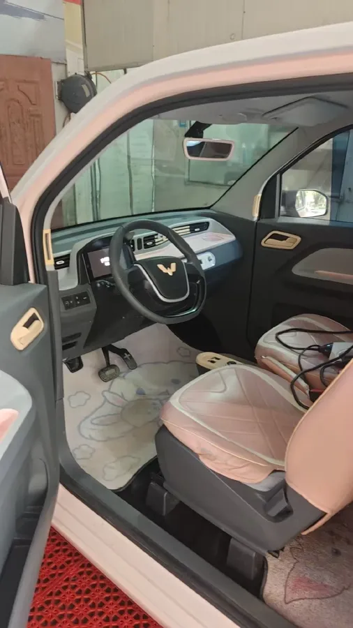 2022 DongFeng Fengon Fengon MINI EV BEV 9.18KWH,autocango,china used car exporter,china ev exporter,chinese used car exporter,chinese used ev exporter