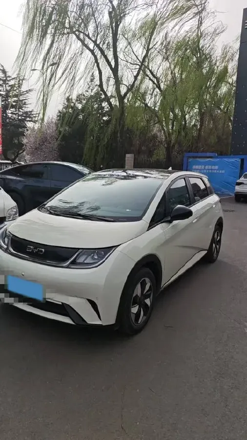 2025 BYD Dolphin BEV 44.928KWH,autocango,china used car exporter,china ev exporter,chinese used car exporter,chinese used ev exporter