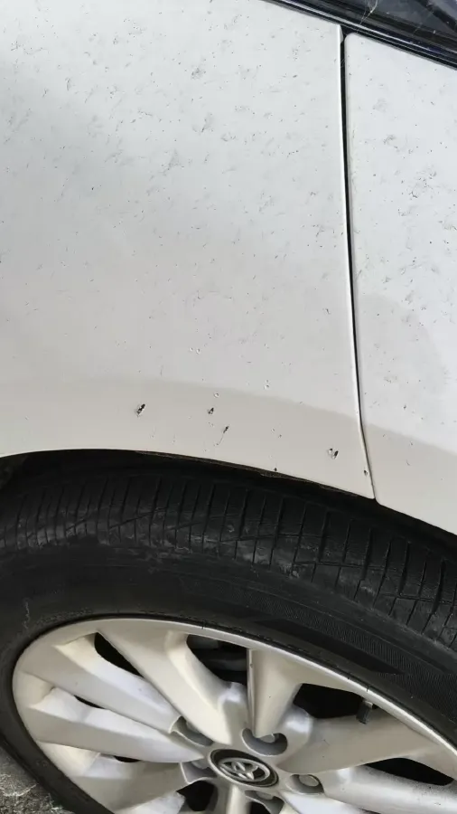 2021 Toyota Corolla 1.2T 116HP L4 CVT,autocango,china used car exporter,china ev exporter,chinese used car exporter,chinese used ev exporter