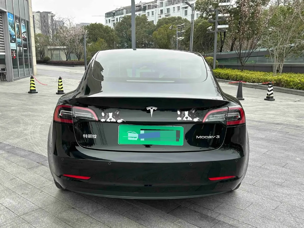 2022 Tesla Model 3 BEV 60KWH,autocango,china used car exporter,china ev exporter,chinese used car exporter,chinese used ev exporter