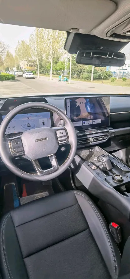 2023 Haval Dargo PLUS 2.0T 238HP L4 9DCT,autocango,china used car exporter,china ev exporter,chinese used car exporter,chinese used ev exporter