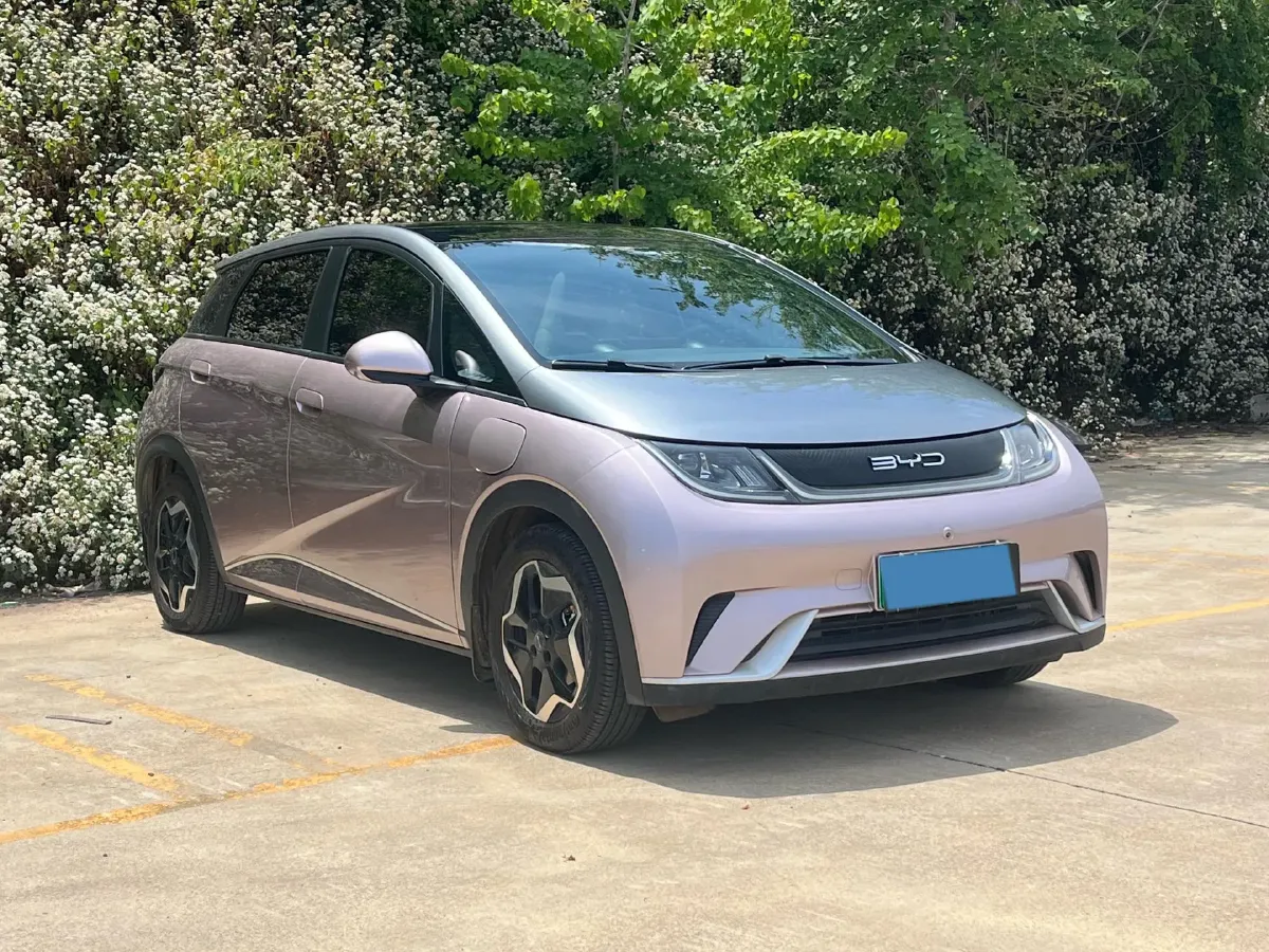 2021 BYD Yuan Pro BEV 50.1KWH,autocango,china used car exporter,china ev exporter,chinese used car exporter,chinese used ev exporter