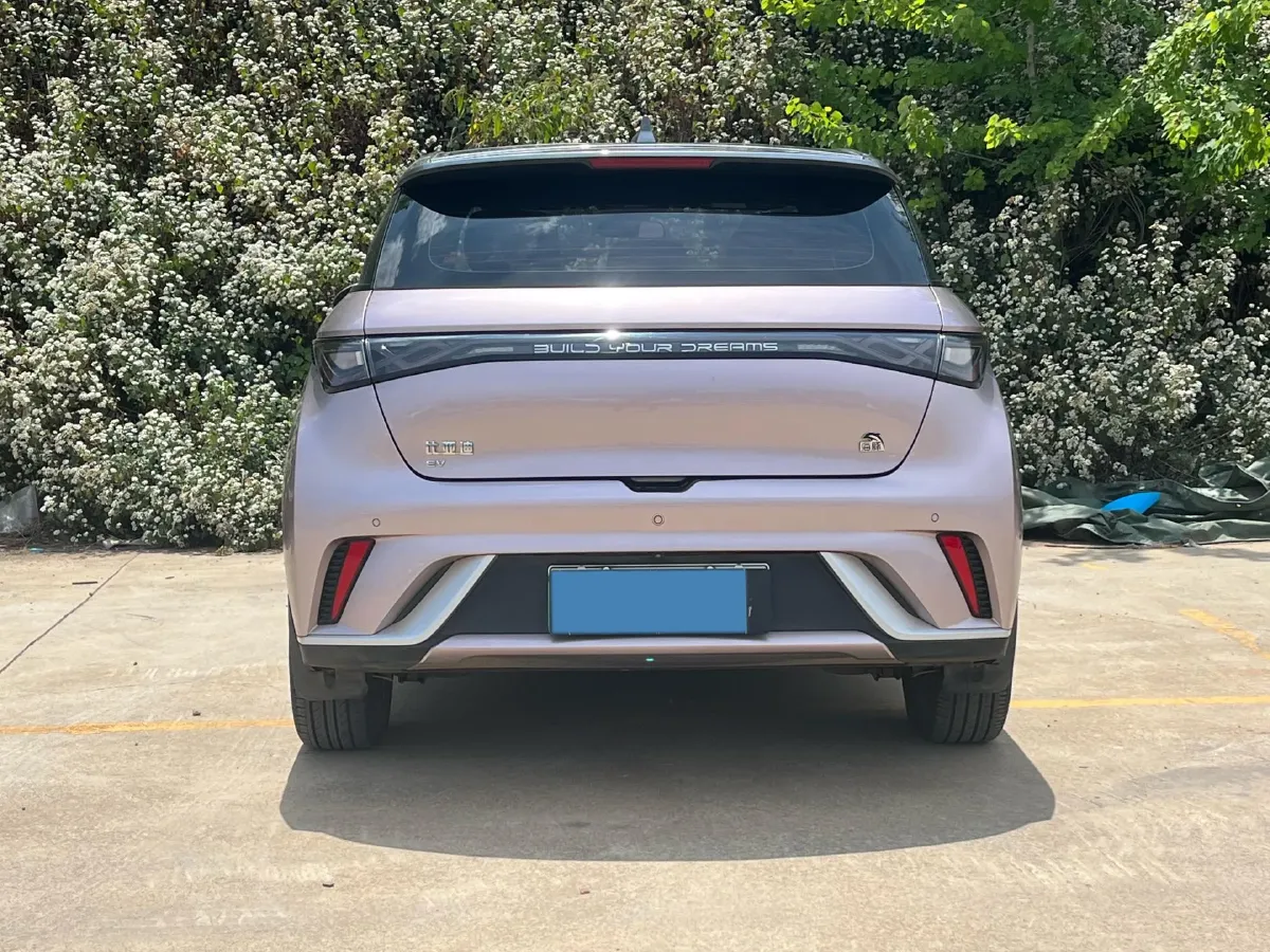 2021 BYD Yuan Pro BEV 50.1KWH,autocango,china used car exporter,china ev exporter,chinese used car exporter,chinese used ev exporter