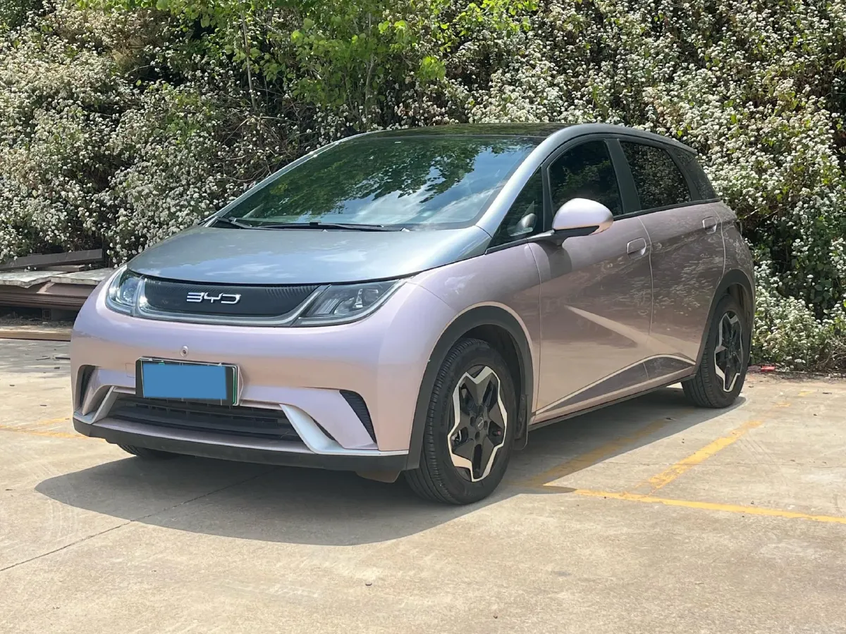 2021 BYD Yuan Pro BEV 50.1KWH,autocango,china used car exporter,china ev exporter,chinese used car exporter,chinese used ev exporter