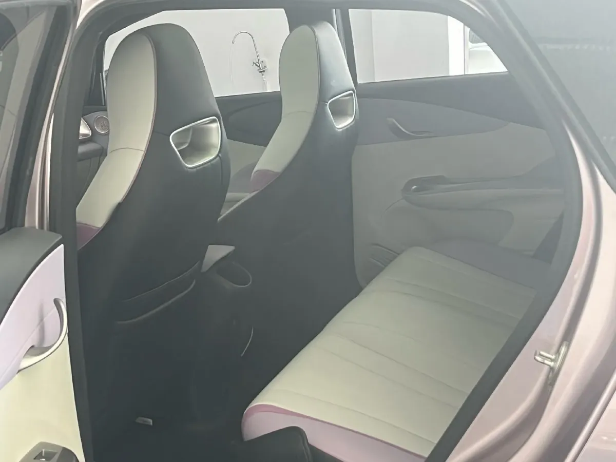 2021 BYD Yuan Pro BEV 50.1KWH,autocango,china used car exporter,china ev exporter,chinese used car exporter,chinese used ev exporter