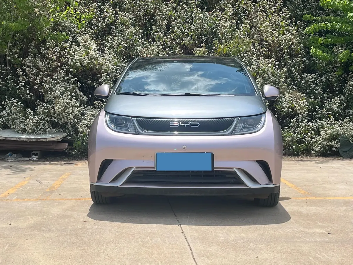 2021 BYD Yuan Pro BEV 50.1KWH,autocango,china used car exporter,china ev exporter,chinese used car exporter,chinese used ev exporter
