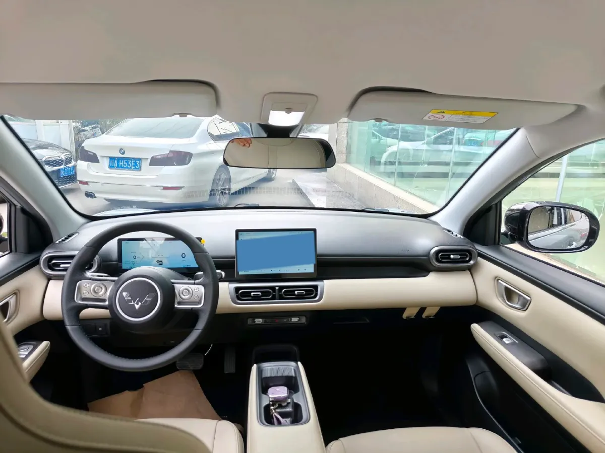 2024 WuLing BinGuoPLUS BEV 37.9KWH,autocango,china used car exporter,china ev exporter,chinese used car exporter,chinese used ev exporter