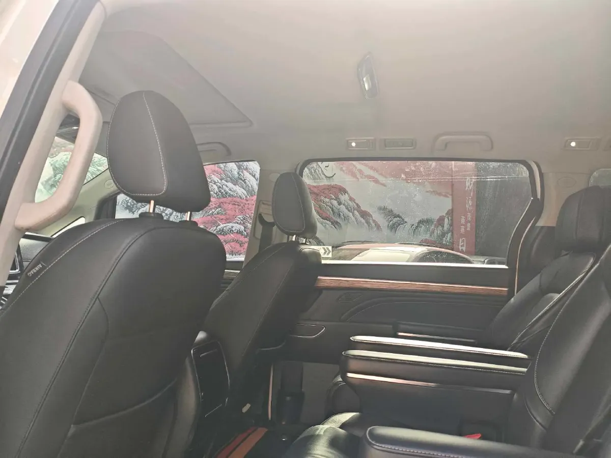 2021 GAC Trumpchi M8 2.0T 252HP L4 8AT,autocango,china used car exporter,china ev exporter,chinese used car exporter,chinese used ev exporter