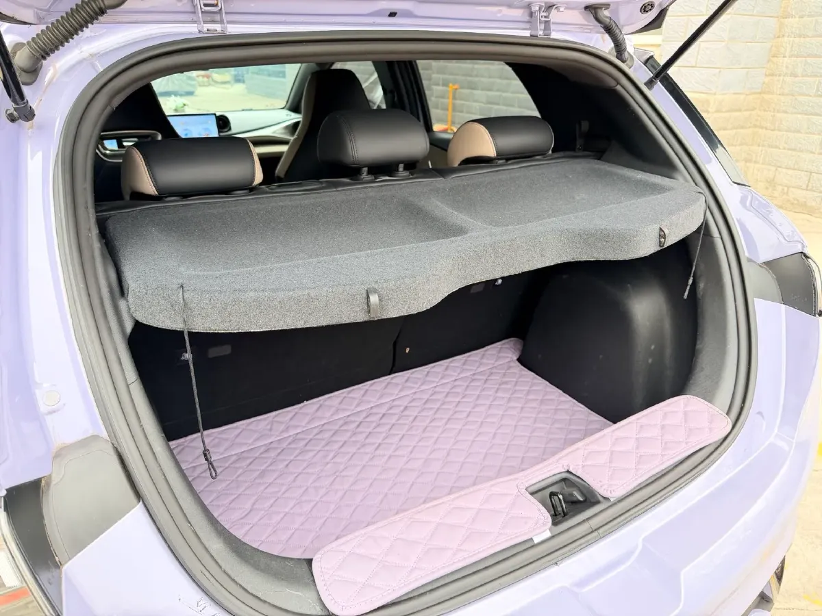 2023 BYD Dolphin BEV 44.928KWH,autocango,china used car exporter,china ev exporter,chinese used car exporter,chinese used ev exporter