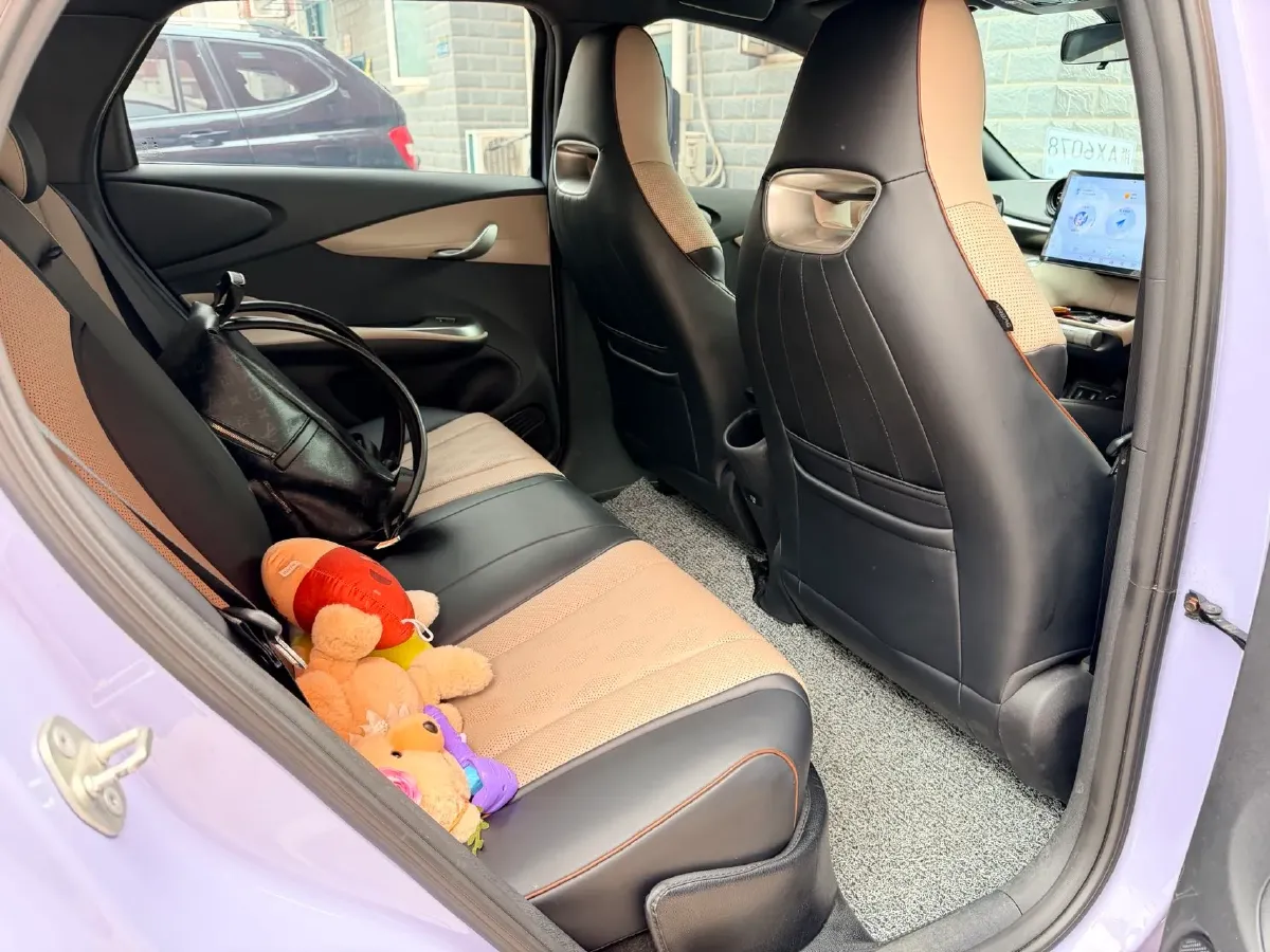 2023 BYD Dolphin BEV 44.928KWH,autocango,china used car exporter,china ev exporter,chinese used car exporter,chinese used ev exporter