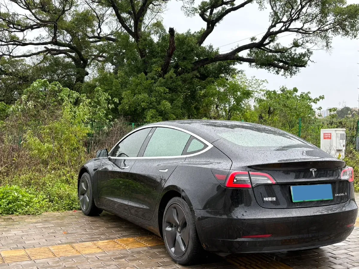 2020 Tesla Model 3 BEV 76.8KWH,autocango,china used car exporter,china ev exporter,chinese used car exporter,chinese used ev exporter
