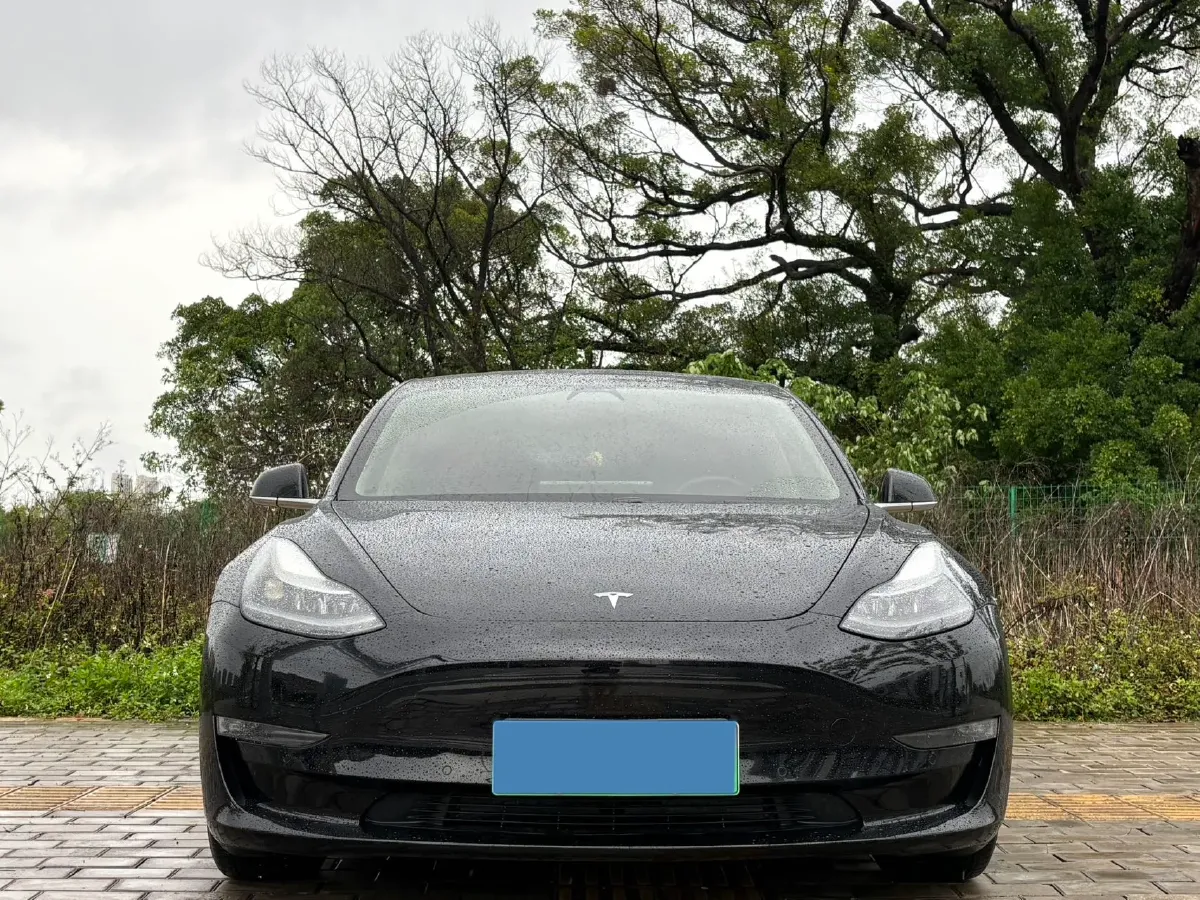 2020 Tesla Model 3 BEV 76.8KWH,autocango,china used car exporter,china ev exporter,chinese used car exporter,chinese used ev exporter