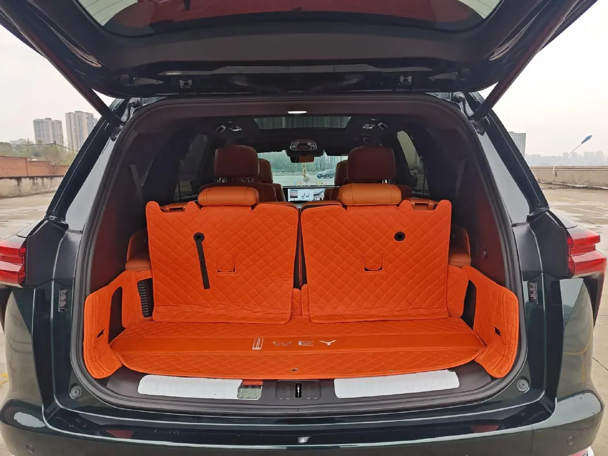 2023 WEY BlueMountain 1.5T 154HP L4 2DHT PHEV 44.5KWH,autocango,china used car exporter,china ev exporter,chinese used car exporter,chinese used ev exporter