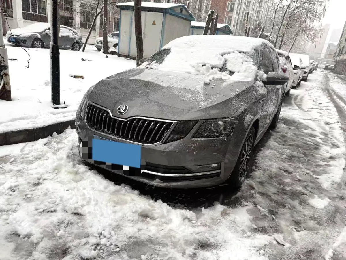 2020 Skoda Octavia 1.2T 116HP L4 7DCT,autocango,china used car exporter,china ev exporter,chinese used car exporter,chinese used ev exporter