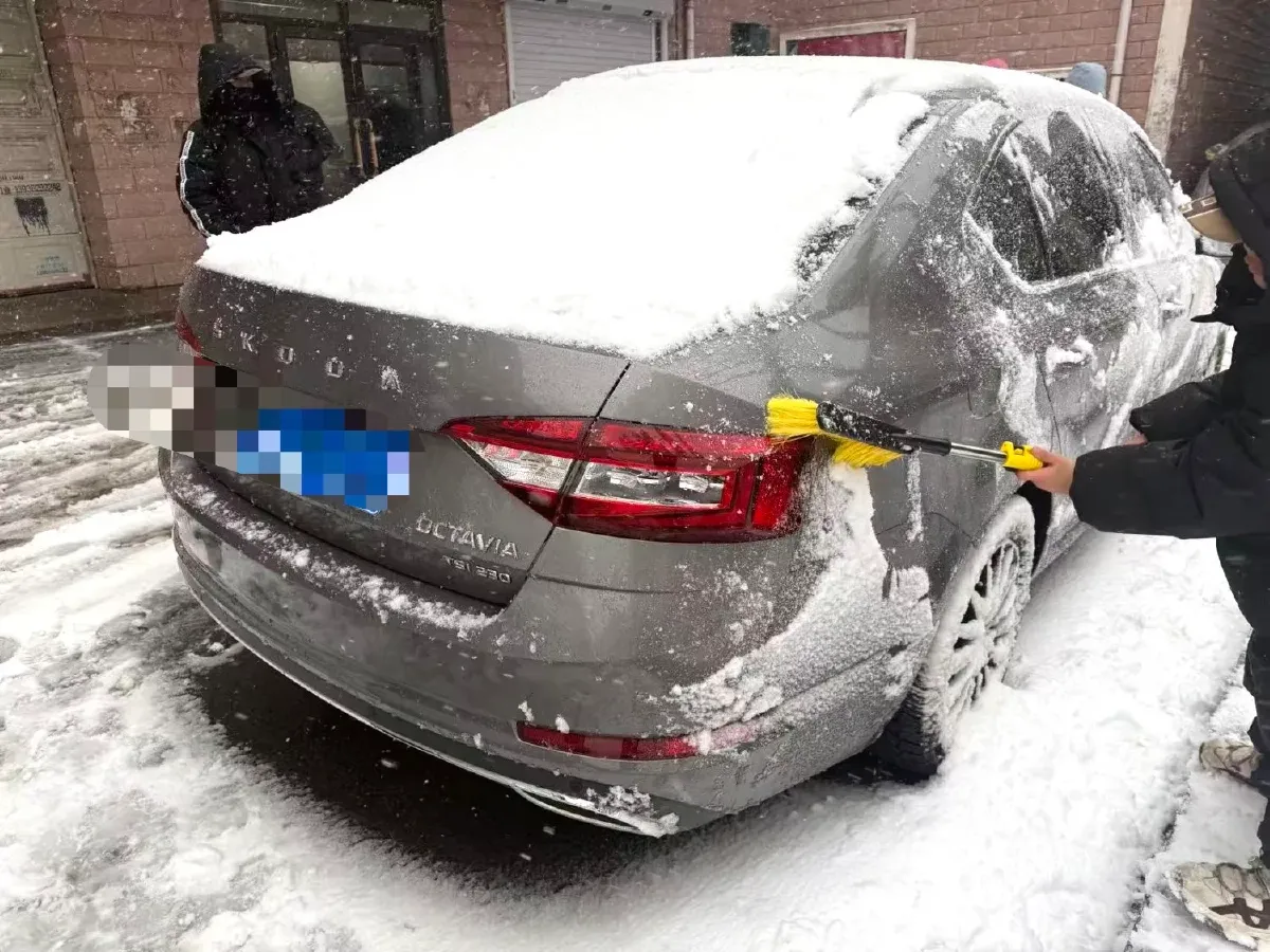 2020 Skoda Octavia 1.2T 116HP L4 7DCT,autocango,china used car exporter,china ev exporter,chinese used car exporter,chinese used ev exporter