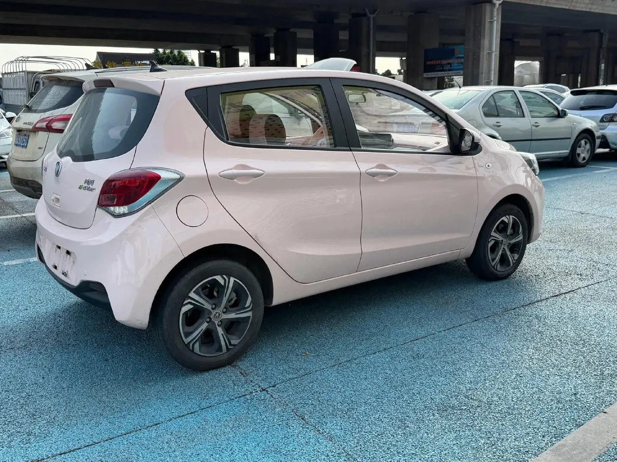 2022 ChangAn BenBen E-Star BEV 31.95KWH,autocango,china used car exporter,china ev exporter,chinese used car exporter,chinese used ev exporter