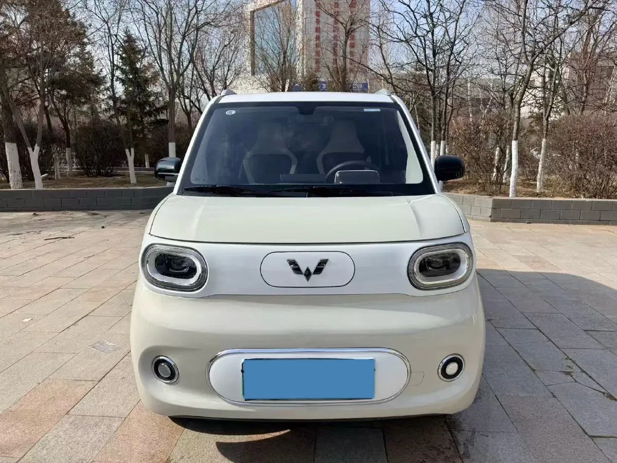2024 WuLing HongGuang MINI EV BEV 17.3KWH,autocango,china used car exporter,china ev exporter,chinese used car exporter,chinese used ev exporter