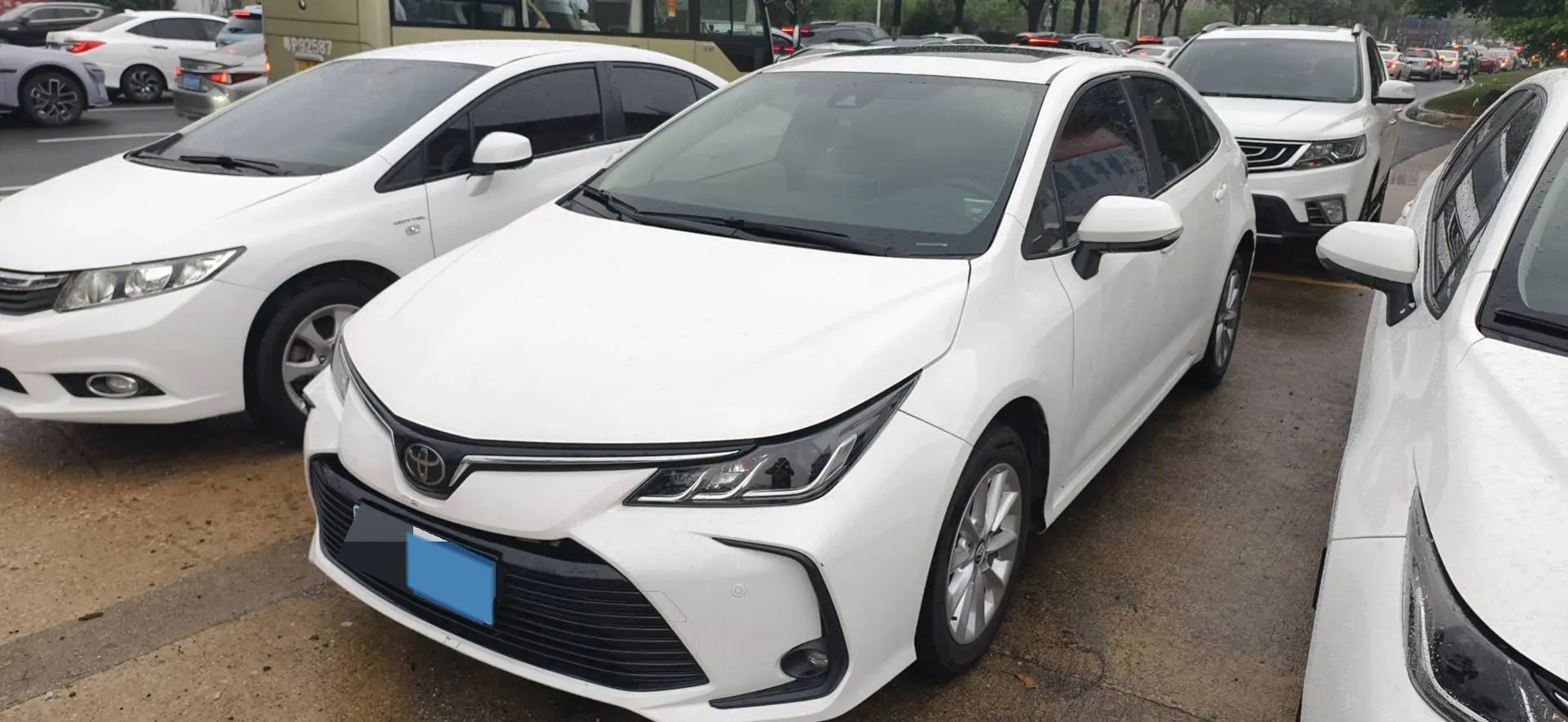 2019 Toyota Corolla 1.2T 116HP L4 CVT,autocango,china used car exporter,china ev exporter,chinese used car exporter,chinese used ev exporter