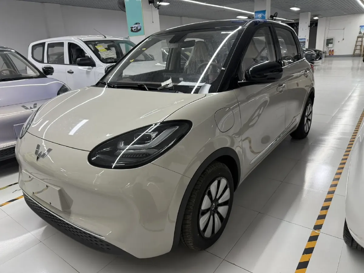 2024 WuLing BinGuo BEV 31.9KWH,autocango,china used car exporter,china ev exporter,chinese used car exporter,chinese used ev exporter