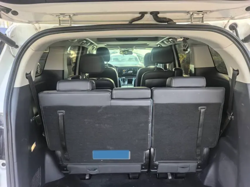 2021 GAC Trumpchi M8 2.0T 252HP L4 8AT,autocango,china used car exporter,china ev exporter,chinese used car exporter,chinese used ev exporter