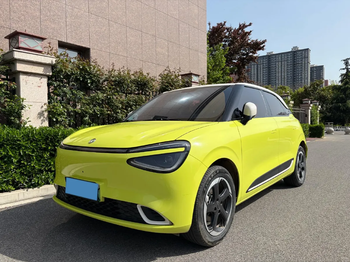 2024 DongFeng Nammi 01 BEV 42.3KWH,autocango,china used car exporter,china ev exporter,chinese used car exporter,chinese used ev exporter