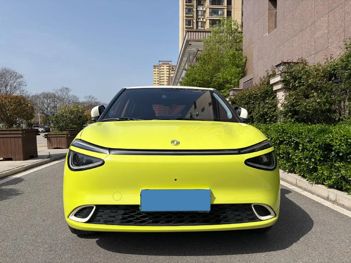 2024 DongFeng Nammi 01 BEV 42.3KWH,autocango,china used car exporter,china ev exporter,chinese used car exporter,chinese used ev exporter