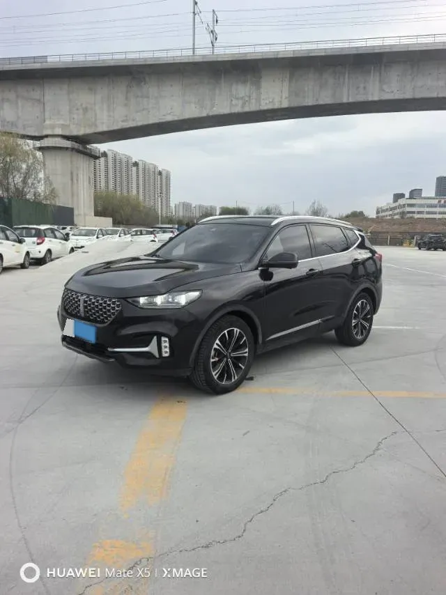 2021 WEY VV6 2.0T 227HP L4 7DCT,autocango,china used car exporter,china ev exporter,chinese used car exporter,chinese used ev exporter