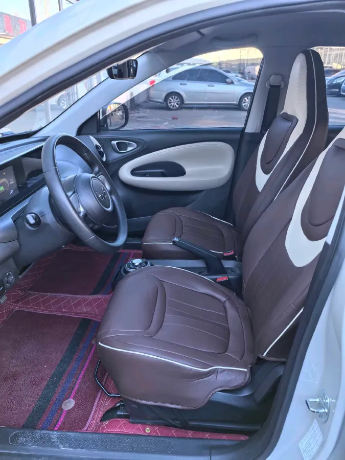 2023 WuLing BinGuo BEV 17.3KWH,autocango,china used car exporter,china ev exporter,chinese used car exporter,chinese used ev exporter